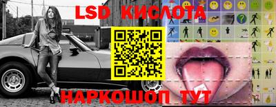 шишки Новозыбков