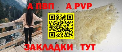 шишки Новозыбков